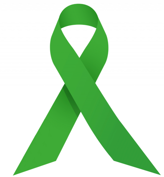 Journée dédiée au Don d’Organes et de Tissus – Un moment fort à la CPTS Vallée de la Nied