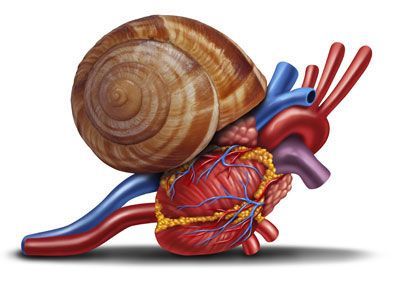 Programme ETP (Education Thérapeutique du Patient) à destination des patients insuffisants cardiaques