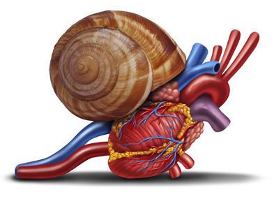 Image du parcours de soins Vivre avec l'insuffisance cardiaque