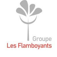 logo Groupe Les Flamboyants