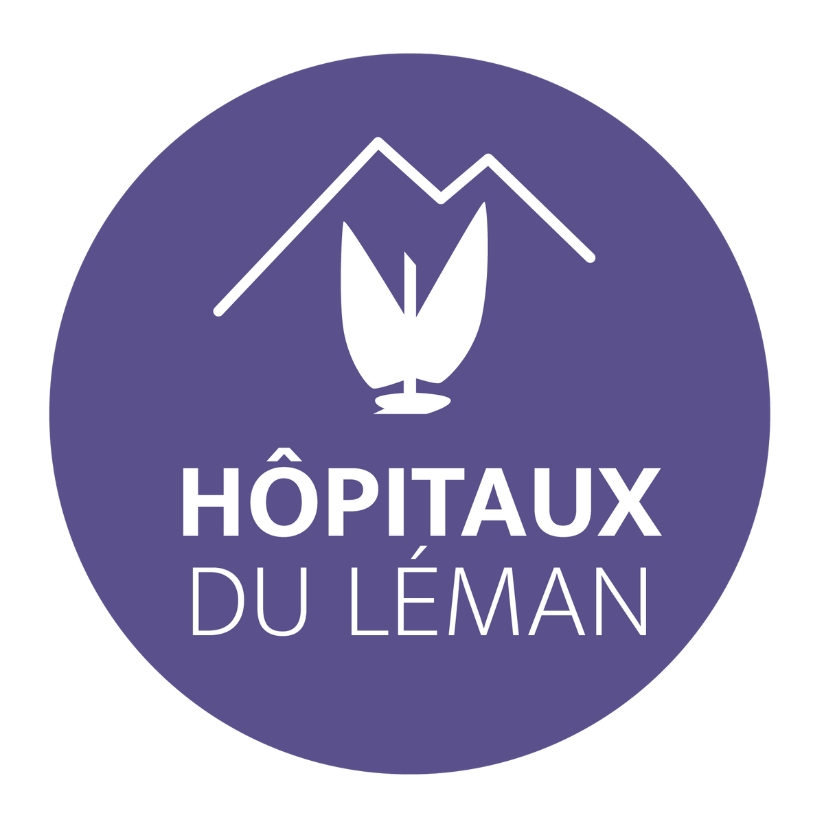logo Hopitaux du Léman 