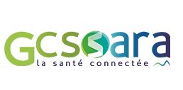 logo GSC SARA 
