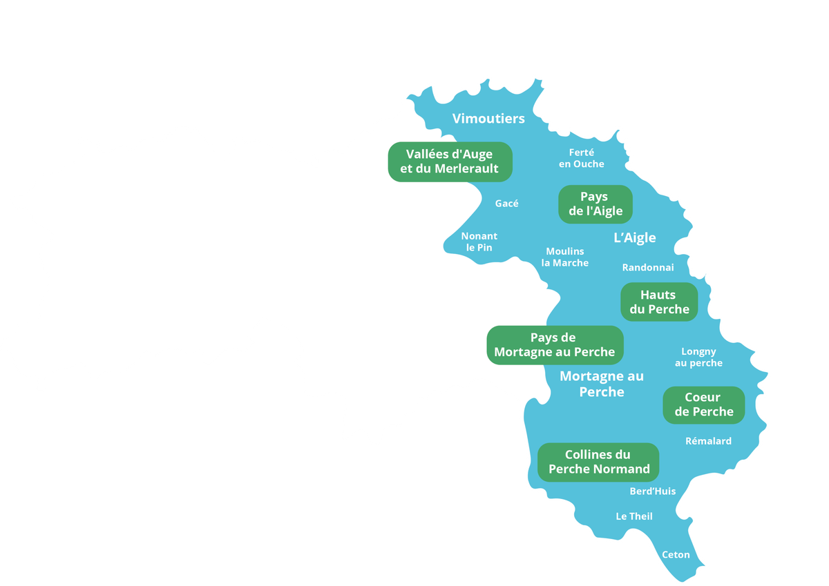 Qu’est-ce qu’une communauté professionnelle territoriale de santé ?